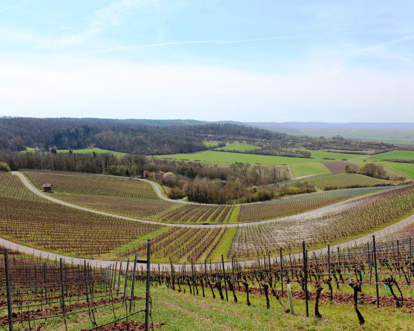 Weinwanderweg im Ipsheimer Weinanbaugebiet